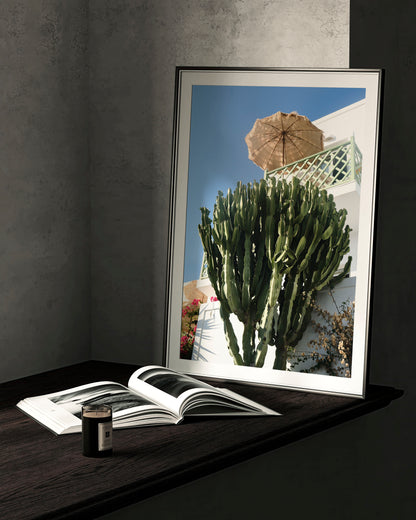 The Holiday Shot - Explura