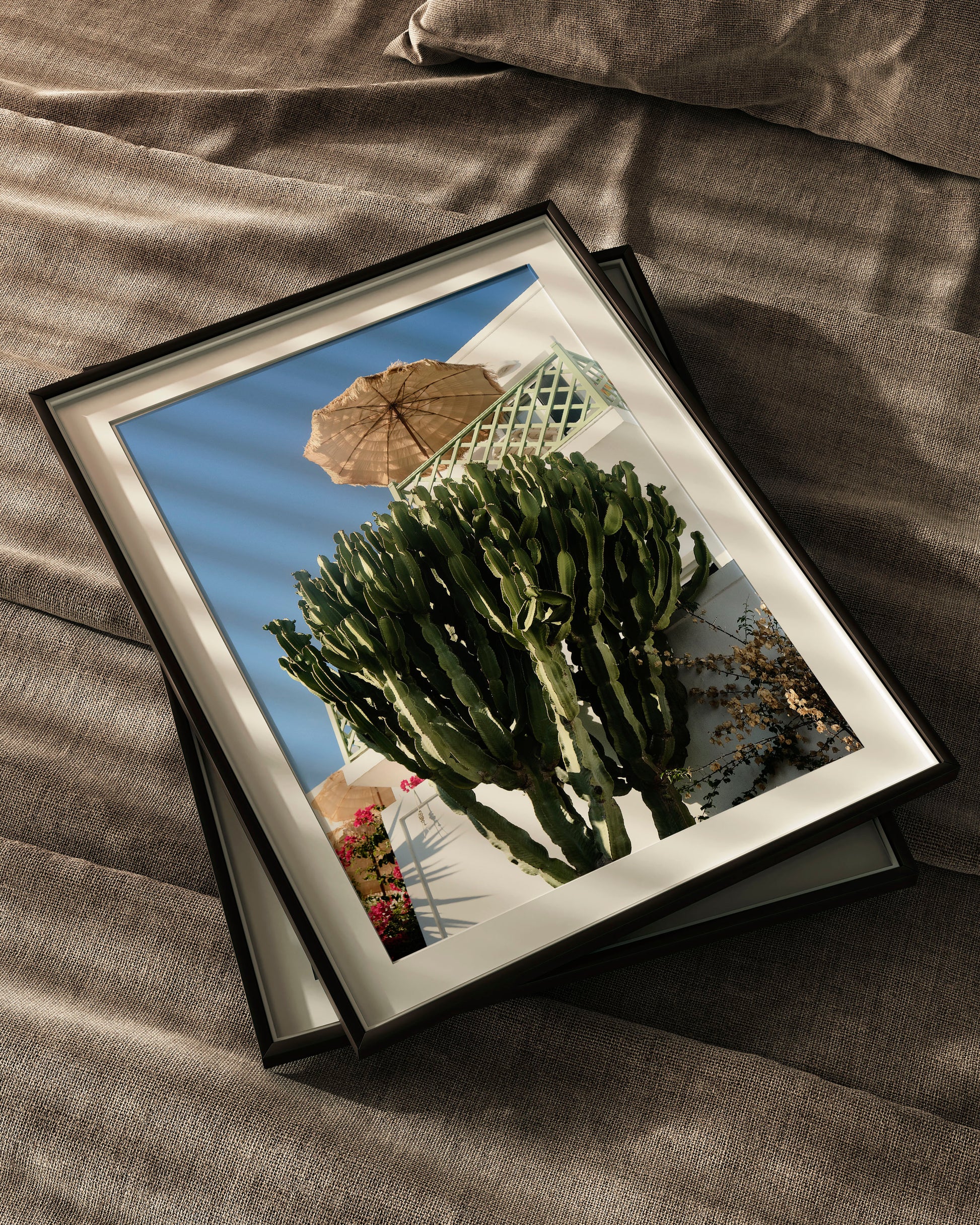 The Holiday Shot - Explura