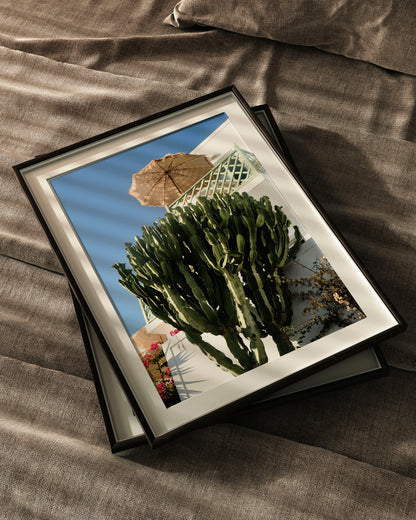 The Holiday Shot - Explura