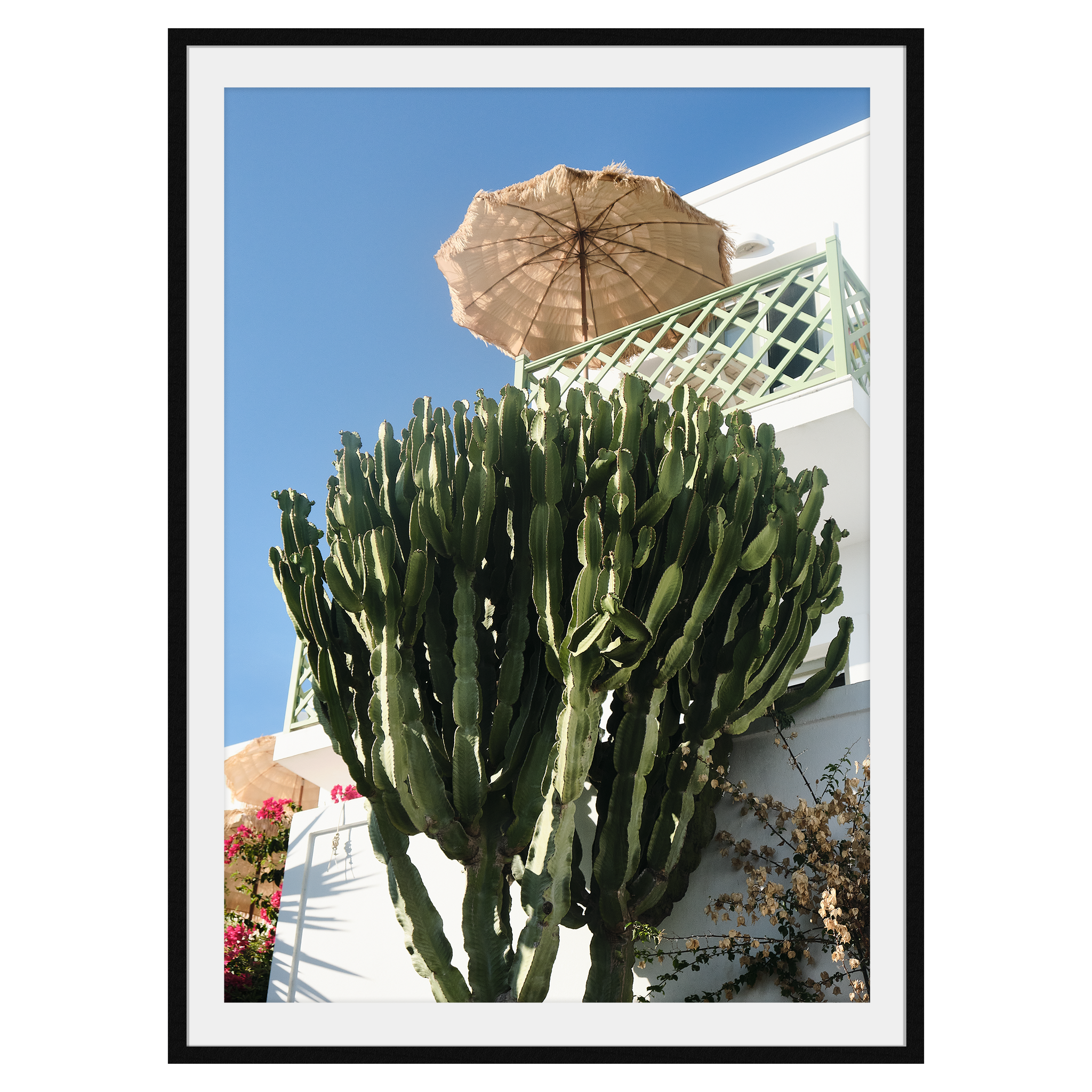 The Holiday Shot - Explura