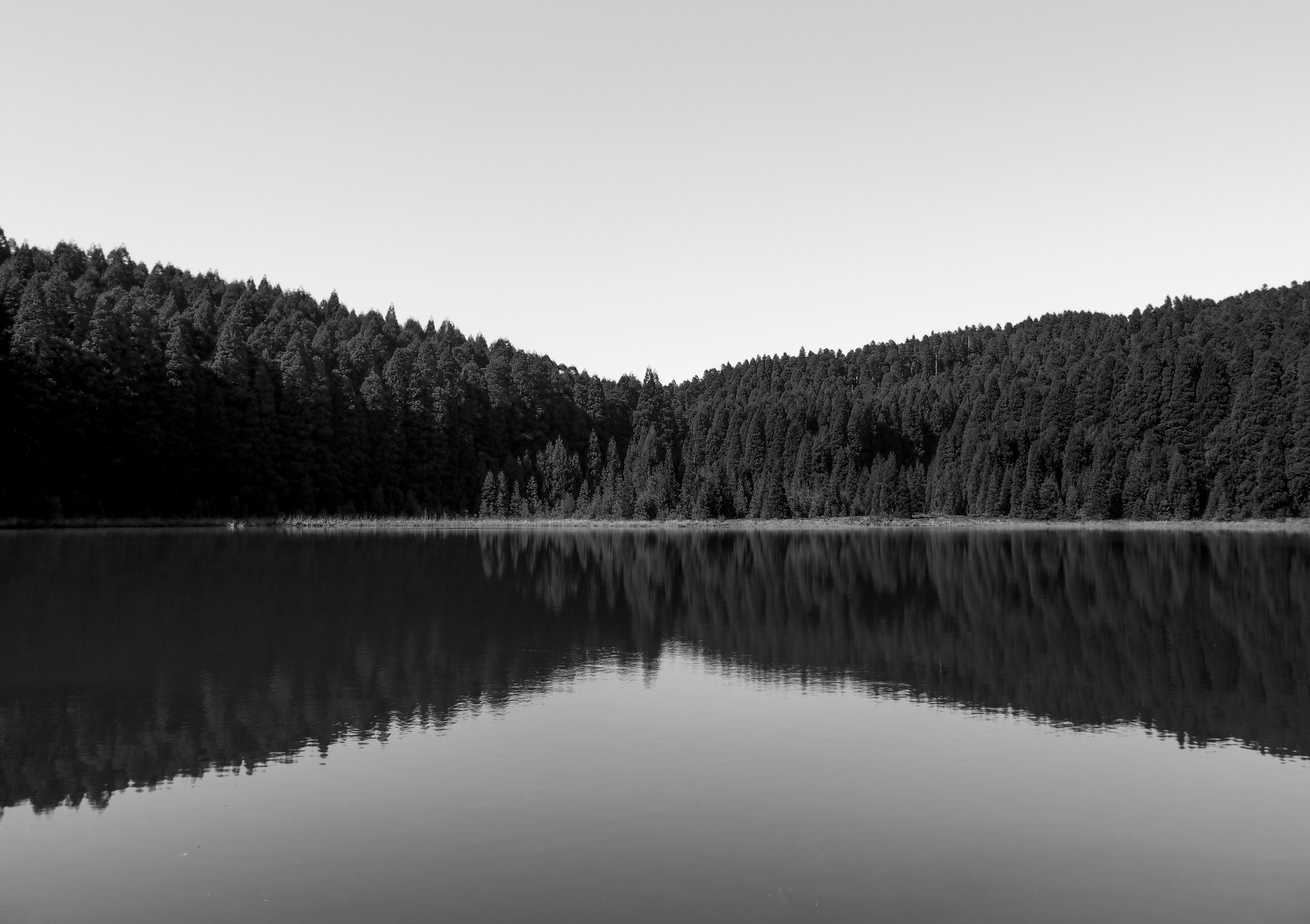 Trees reflect perfectly on a still body of water, a calm and tranquil lake - Black & White Large Photography Print - Wall Art Posters - Explura.co