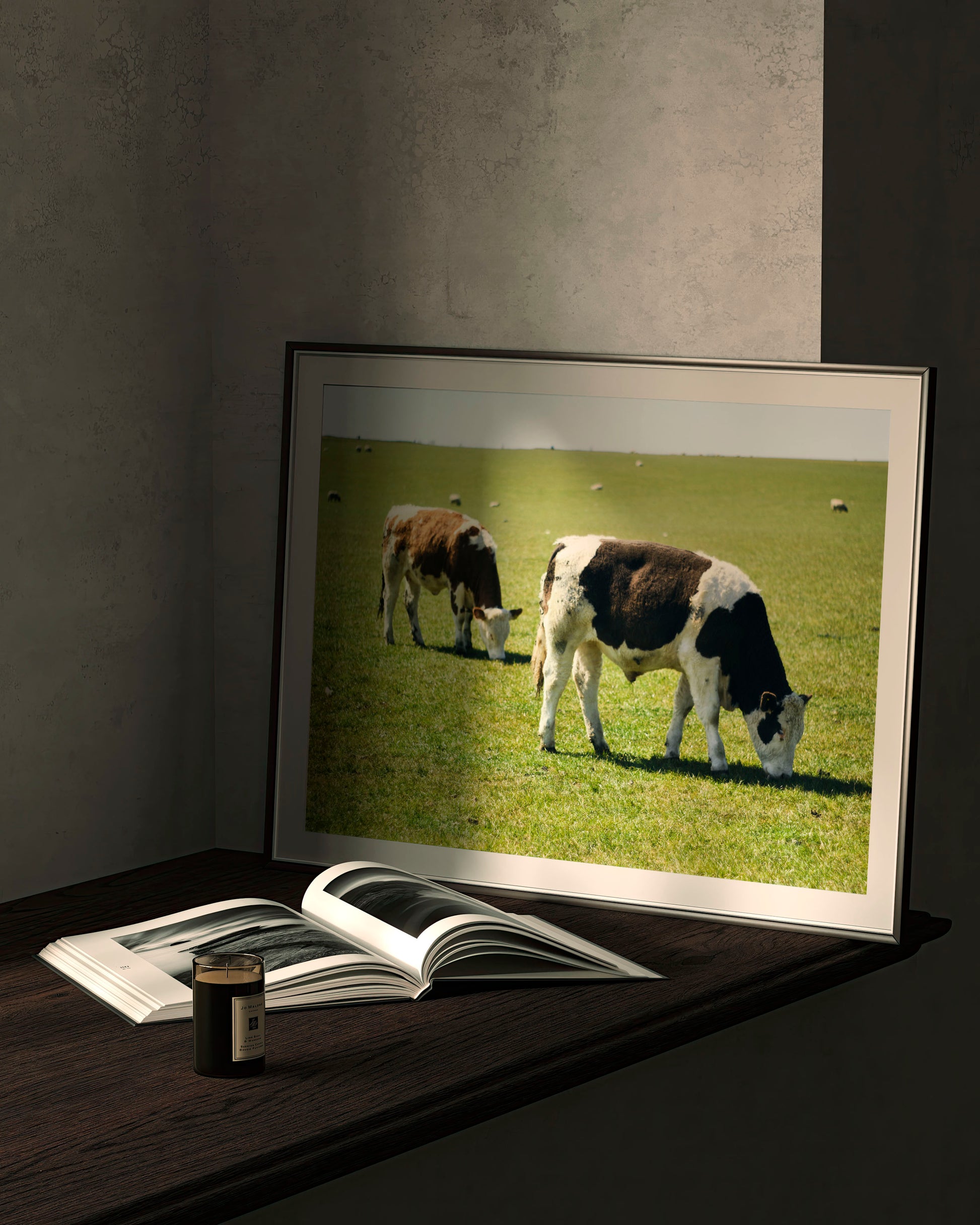 Two Cows - Explura
