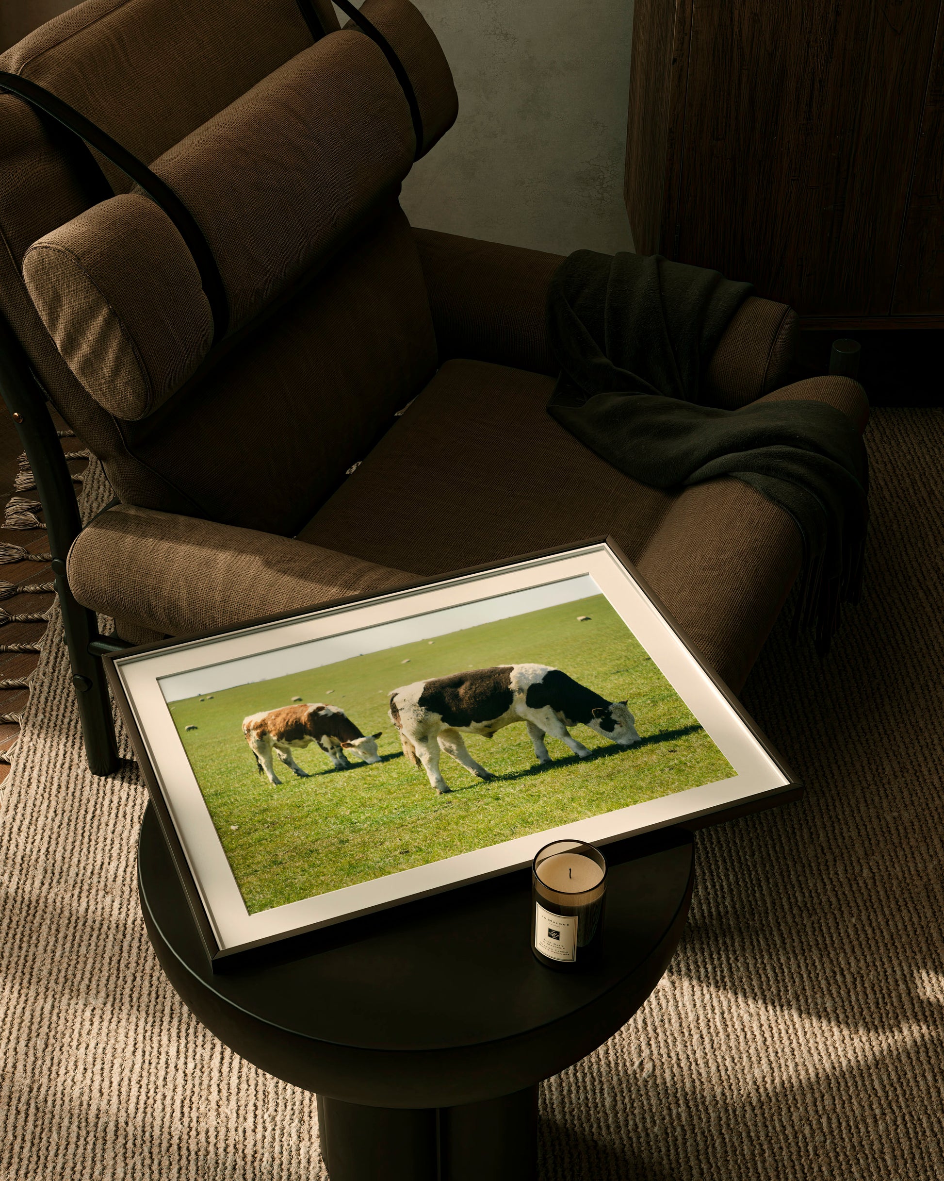 Two Cows - Explura
