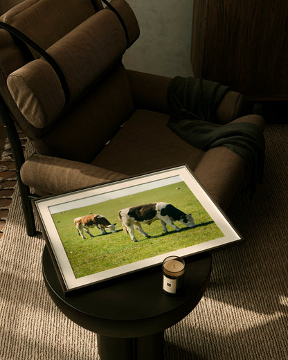 Two Cows - Explura